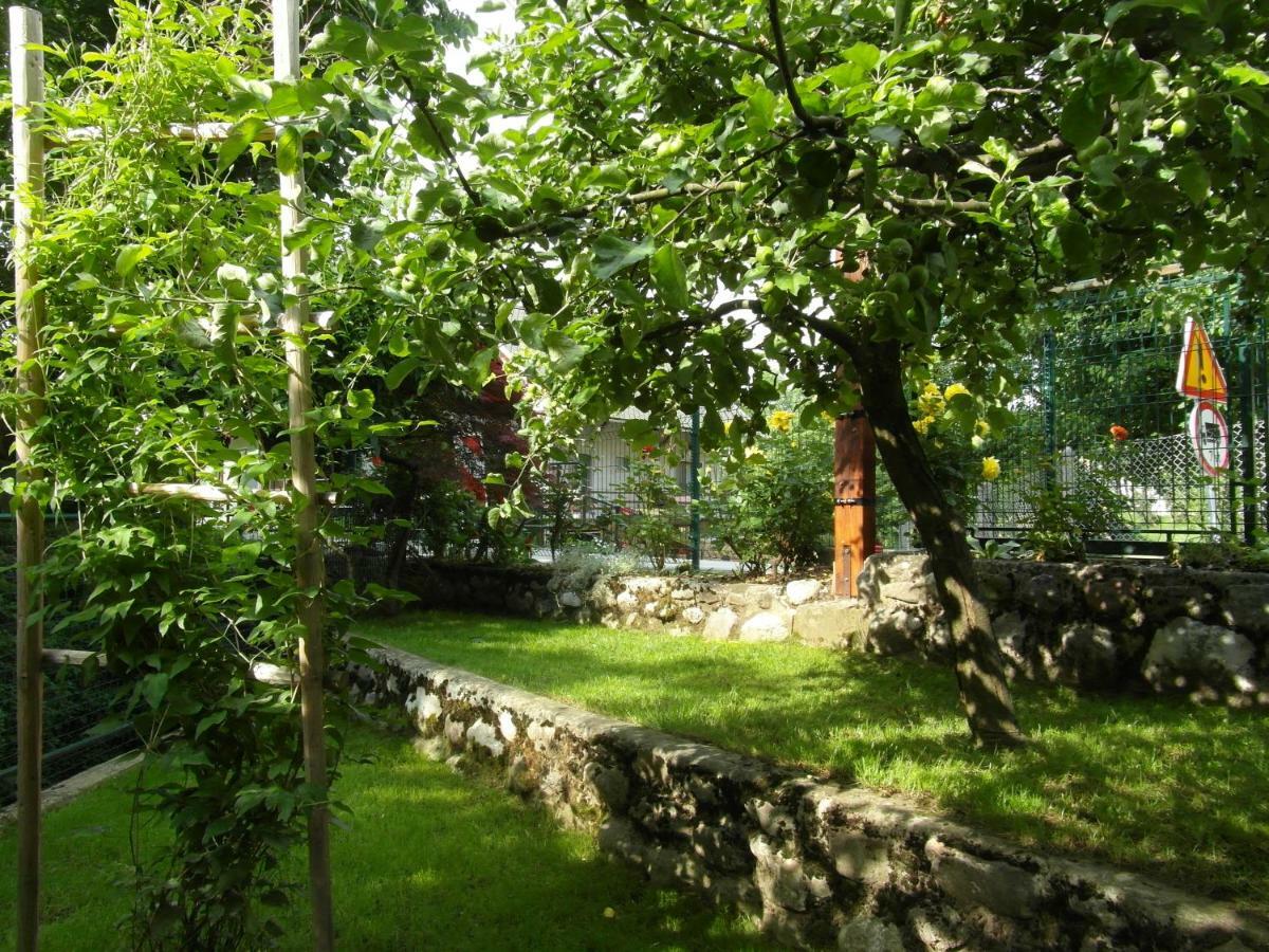Apartma Pr Martin Begunje na Gorenjskem Dış mekan fotoğraf