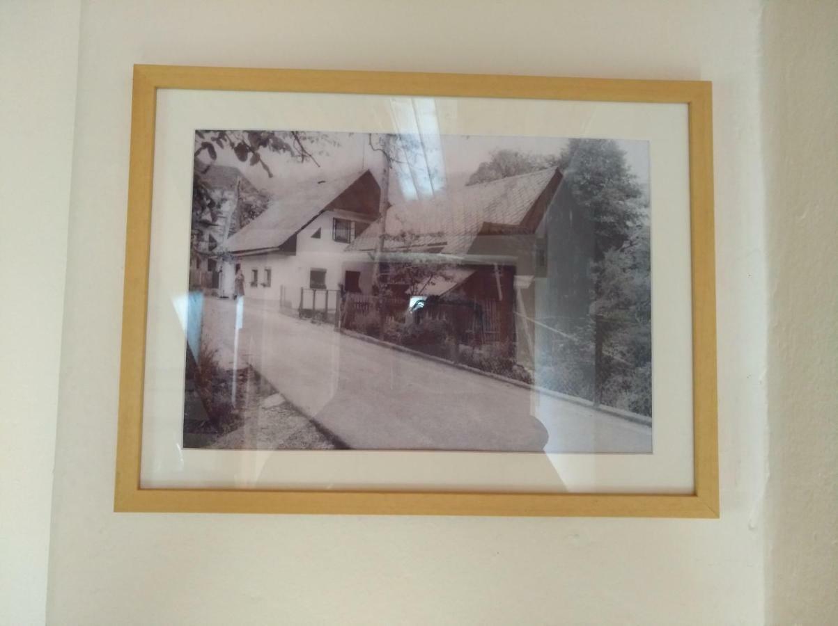Apartma Pr Martin Begunje na Gorenjskem Dış mekan fotoğraf