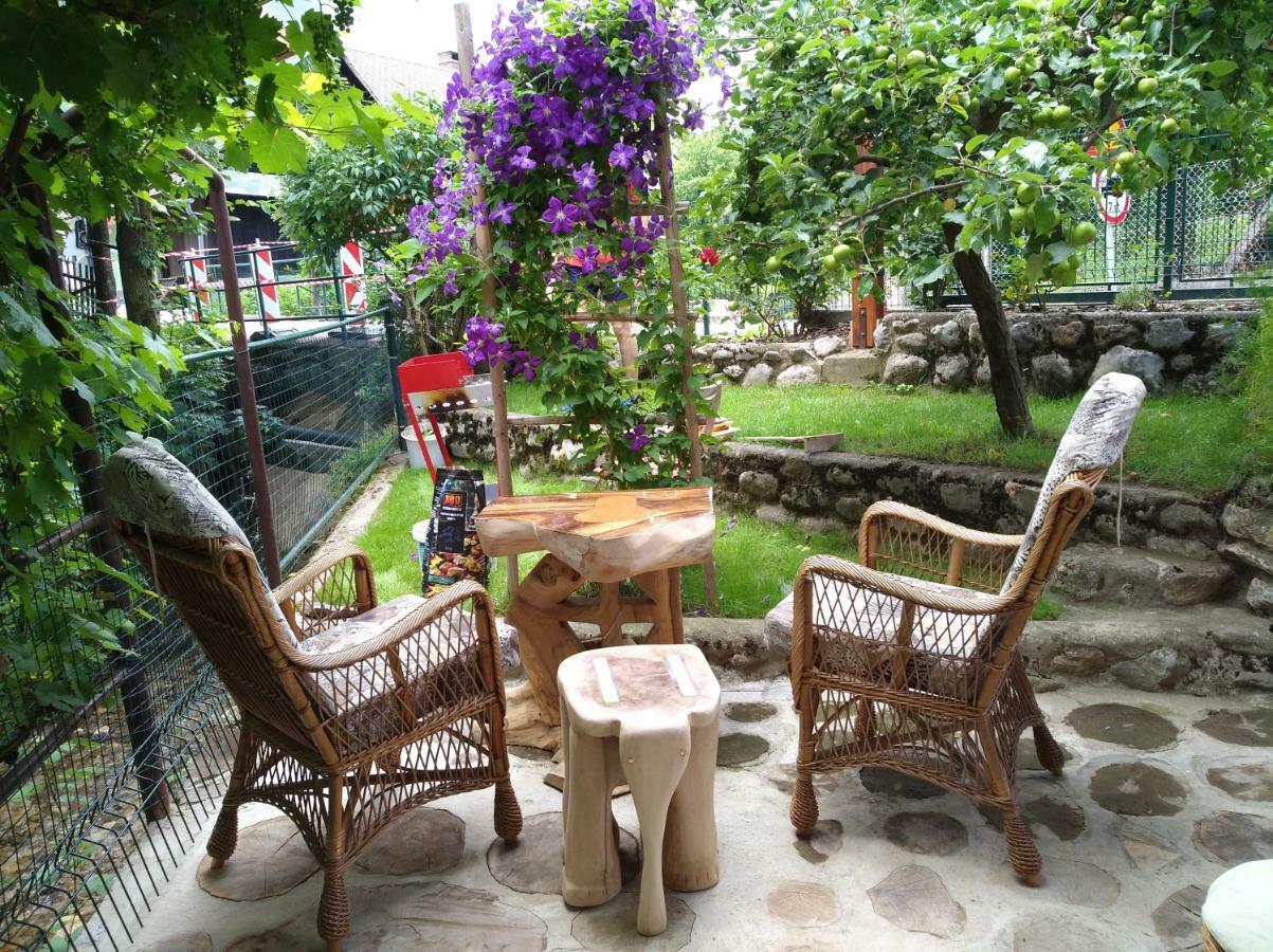 Apartma Pr Martin Begunje na Gorenjskem Dış mekan fotoğraf
