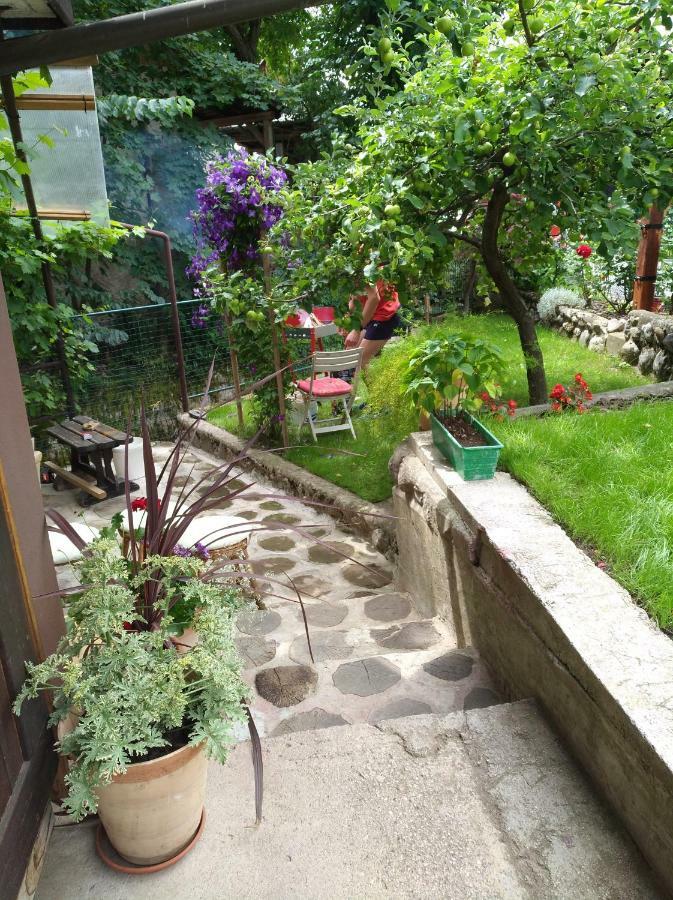 Apartma Pr Martin Begunje na Gorenjskem Dış mekan fotoğraf